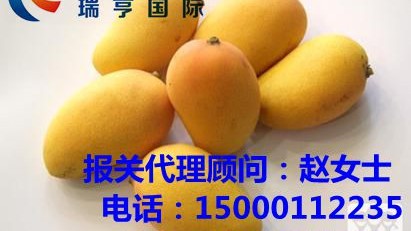 芒果AI代理地址到底咋整？我折腾一礼拜终于搞明白了